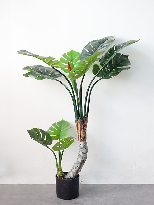 CC404 - Cây Monstera Giả Thân Gỗ
