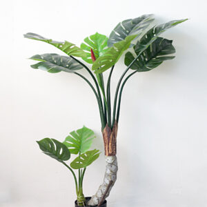 Cây Monstera Giả Thân Gỗ