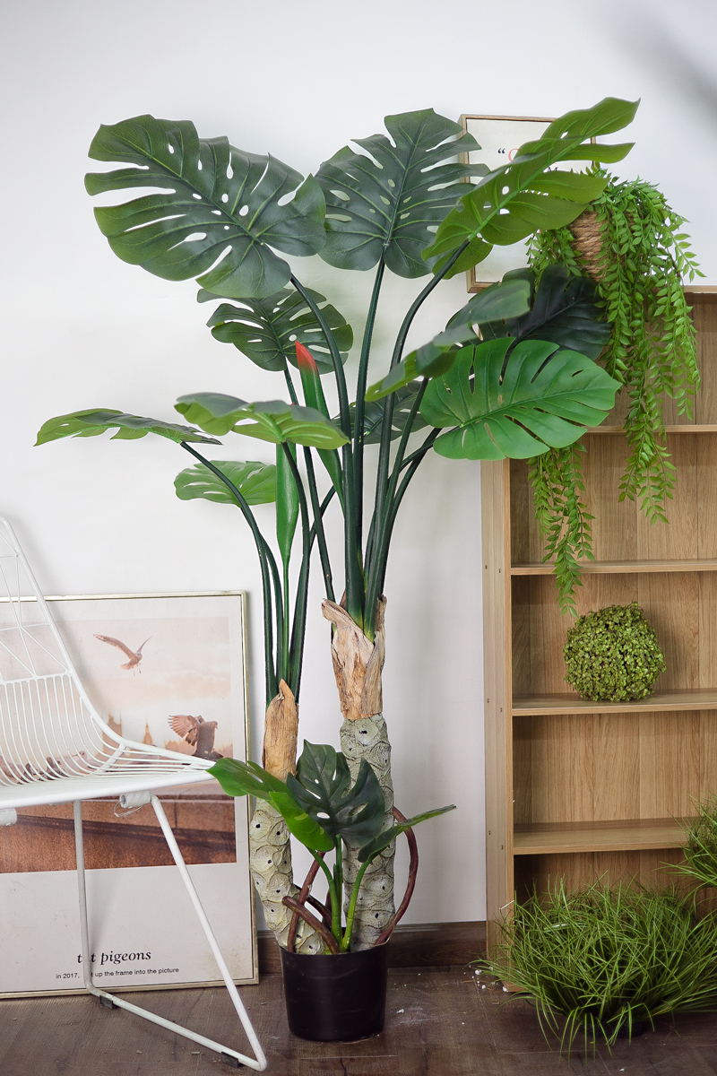 CC406 - Cây monstera thân gỗ giả 160cm CC406 - Cây monstera thân gỗ giả 160cm
