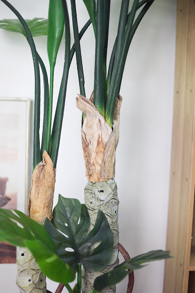 CC406 2 - Cây monstera thân gỗ giả 160cm CC406 2 - Cây monstera thân gỗ giả 160cm