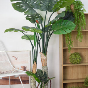 Cây monstera thân gỗ giả 160cm