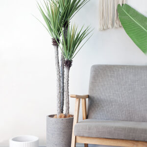 Cây huyết rồng giả bằng nhựa 150cm