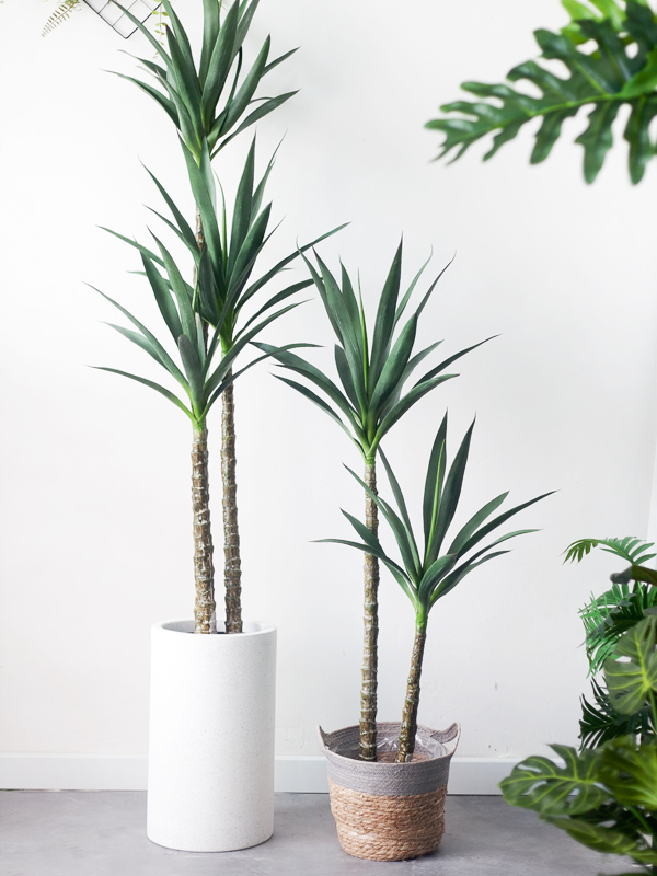 CC452 4 - Cây Dứa Dại Sisal Giả - 120cm CC452 4 - Cây Dứa Dại Sisal Giả - 120cm