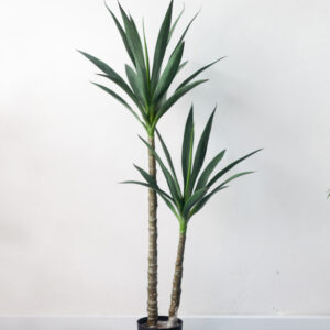 Cây Dứa Dại Sisal Giả – 120cm