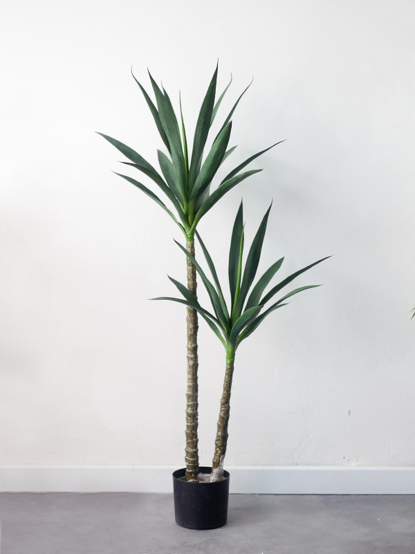 Cây Dứa Dại Sisal Giả – 120cm
