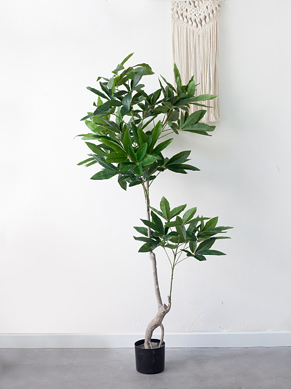 CC464 - Cây kim ngân giả 150cm thân nhỏ