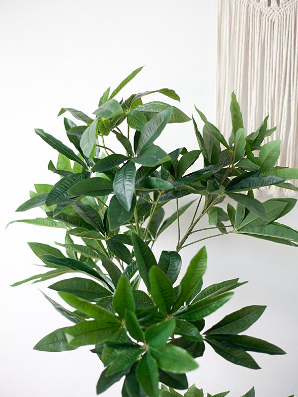 CC464 3 - Cây kim ngân giả 150cm thân nhỏ