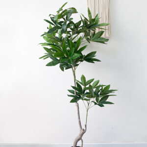 Cây kim ngân giả 150cm thân nhỏ