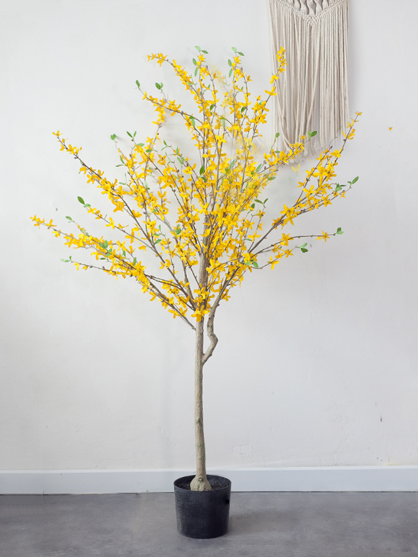 CC481 2 - Cây Mai Vàng Mỹ Giả - 160cm
