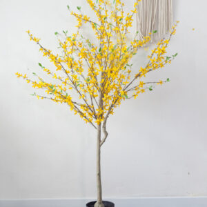 Cây Mai Vàng Mỹ Giả – 160cm