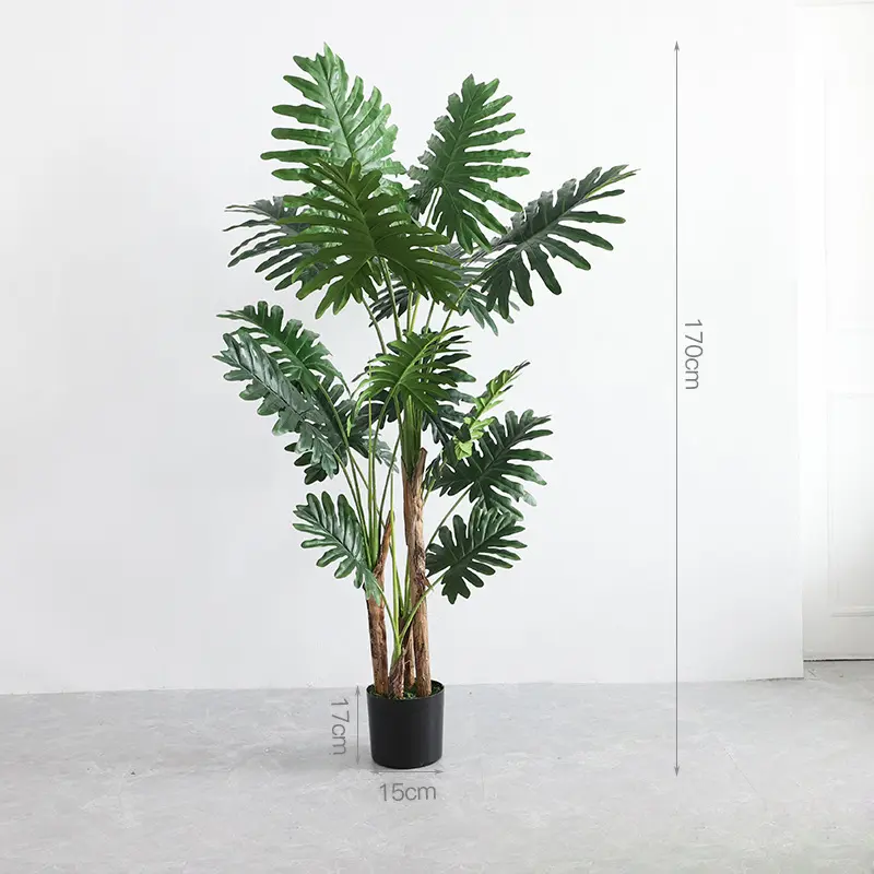 CC510.jpg - Cây trầu bà thanh xuân giả 170cm CC510.jpg - Cây trầu bà thanh xuân giả 170cm