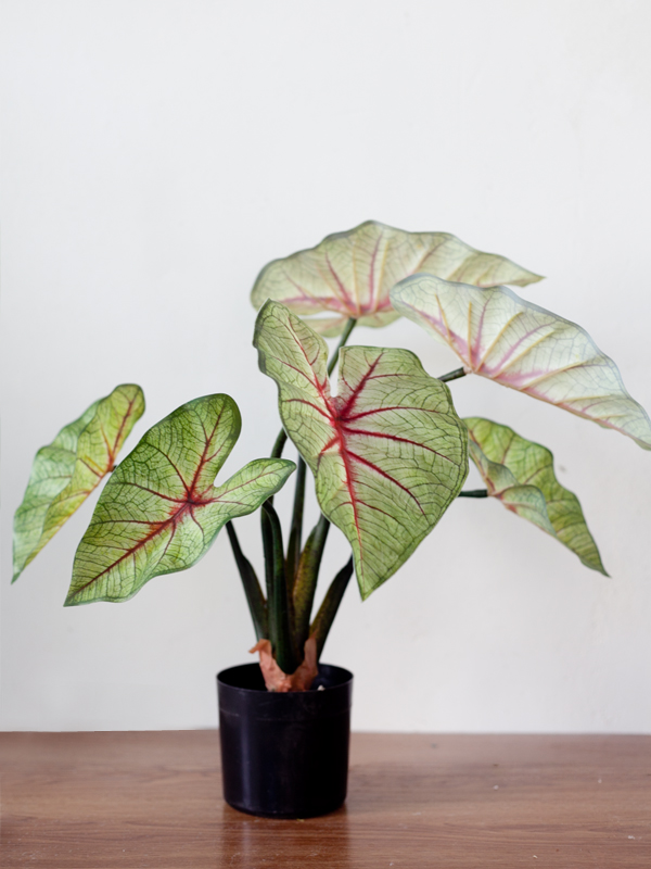 CC517 - Cây hồng môn giả 60cm