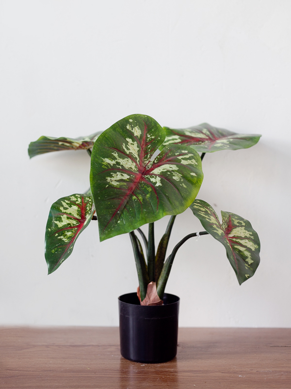 CC518 - Cây môn giả 60cm trang trí nội thất CC518 - Cây môn giả 60cm trang trí nội thất