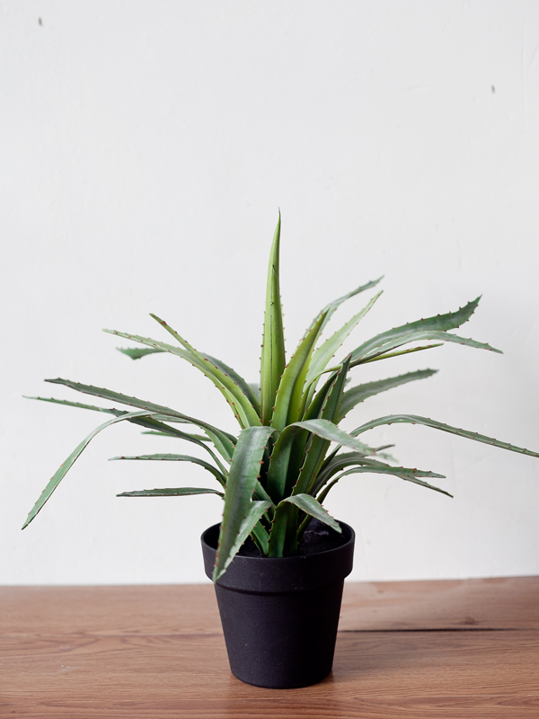 Cây dứa giả 45 cm