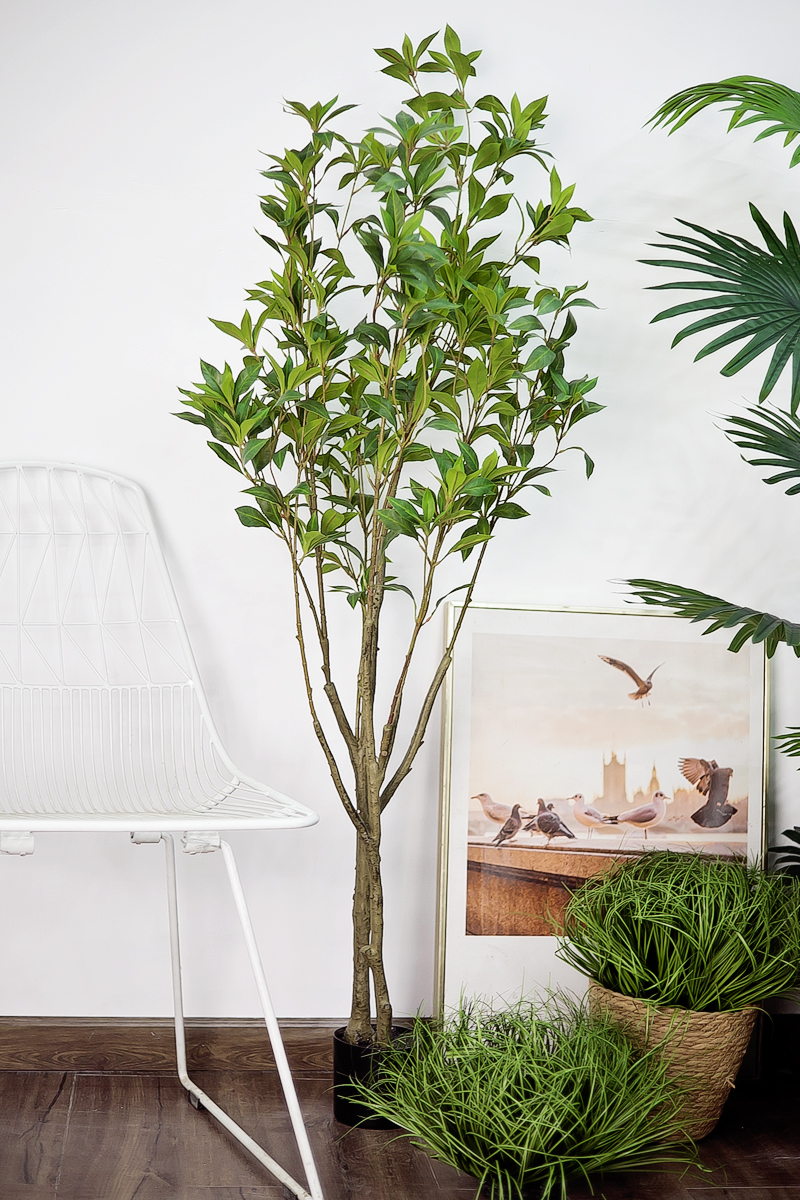 CC532 2 - Cây Asebi giả 120 cm