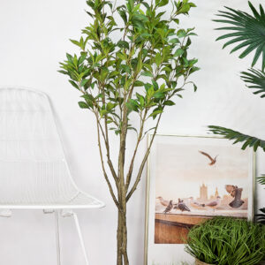 Cây Asebi giả 120 cm