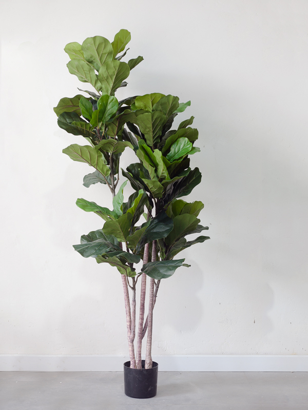 CC535 2 - Cây bàng singapore giả 3 nhánh 150cm