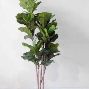 Cây bàng singapore giả 3 nhánh 150cm