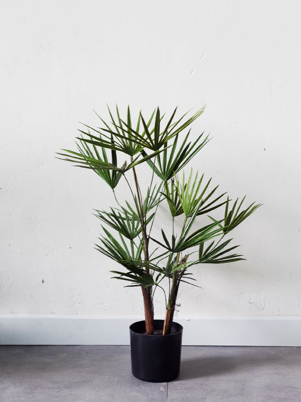 Cây cọ giả 65 cm