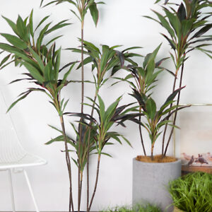 Cây huyết dụ đỏ giả