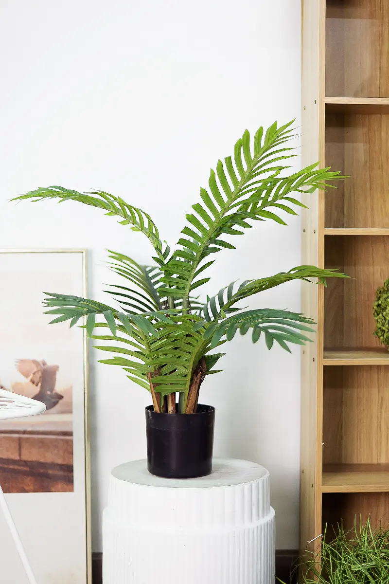 CC582.jpg - Cây dừa giả để bàn 60 cm CC582.jpg - Cây dừa giả để bàn 60 cm