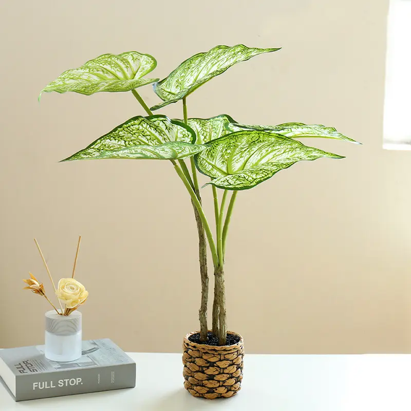 CC590.jpg - Cây môn giả 60cm