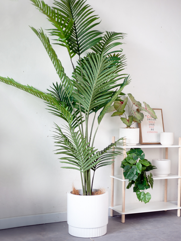 CC61 8 - Cây dừa giả 150cm