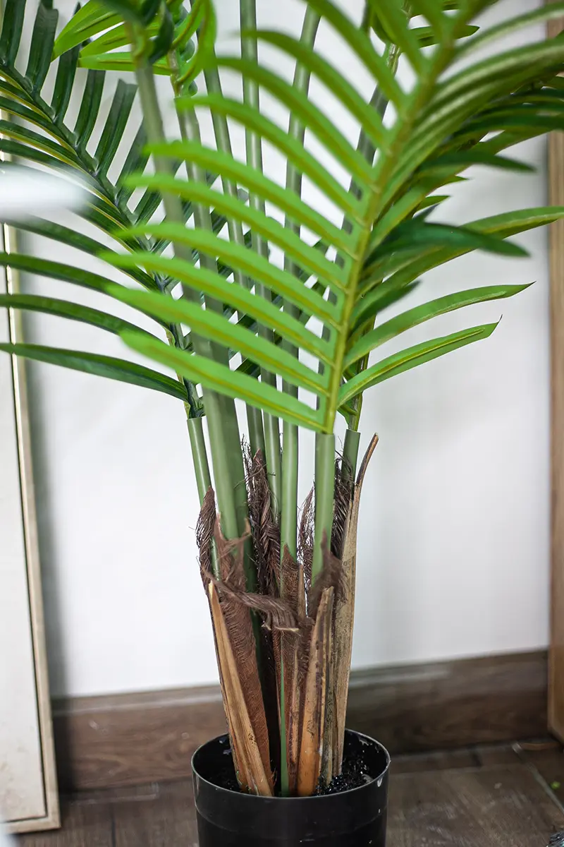 CC65 5.jpg - Cây dừa giả 120cm CC65 5.jpg - Cây dừa giả 120cm