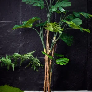 Cây monstera thân gỗ giả 220cm