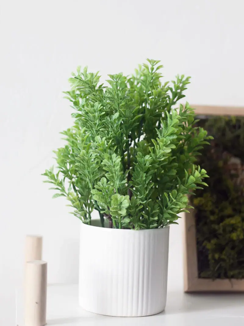 Chậu cây cỏ giả để bàn
