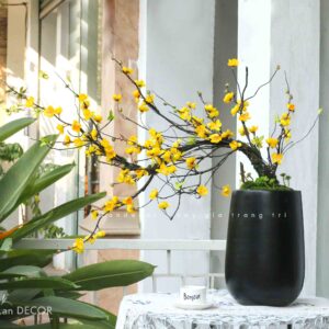 CHẬU MAI TRƯNG NGÀY TẾT ĐÓN XUÂN VỀ (80CM)- CC792