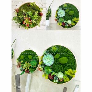 KHUNG TRANH RÊU SEN ĐÁ TRANG TRÍ HIỆN ĐẠI- KTR004.(D=40)