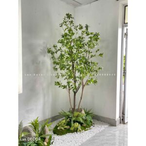CÂY LINH SƠN TRỒNG BỒN TIỂU CẢNH ĐỘC ĐÁO (2m5)- CC883
