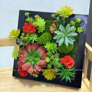 KHUNG TRANH RÊU SEN ĐÁ TRANG TRÍ KHÔNG GIAN SỐNG ĐỘNG- KTR016 (30x30cm)