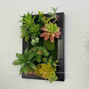 KHUNG TRANH RÊU SEN ĐÁ DECOR HIỆN ĐẠI- KTR012 (20x30cm)