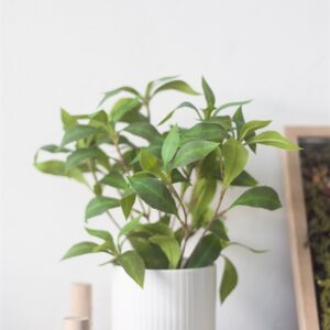 Chậu cây kim ngân giả để bàn
