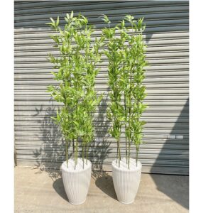Chậu cây trúc quân tử giả trang trí