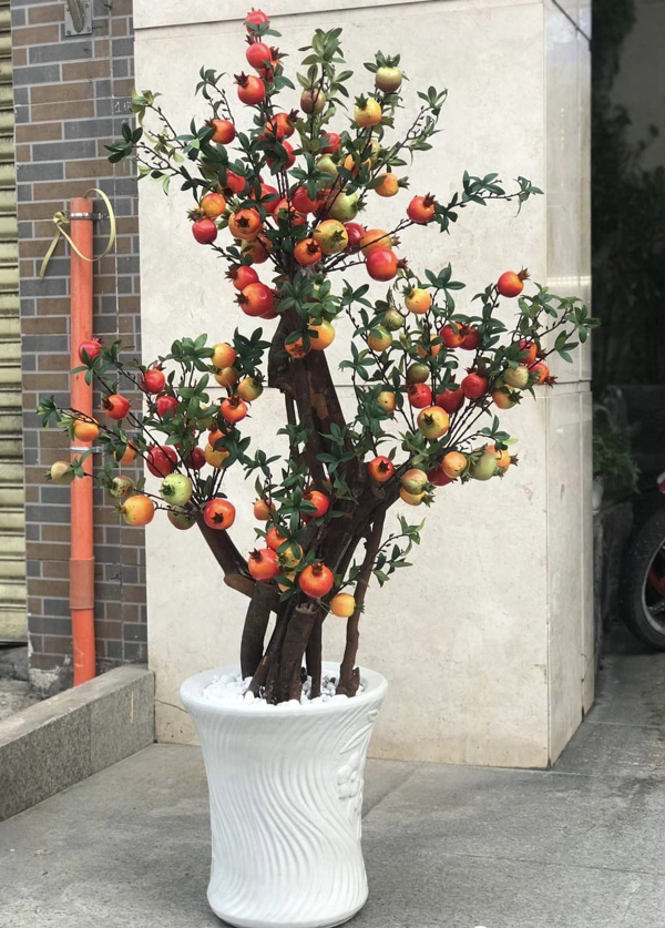 cây lựu giả