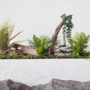 Bồn cây giả trang trí tiểu cảnh phong cách Terrarium