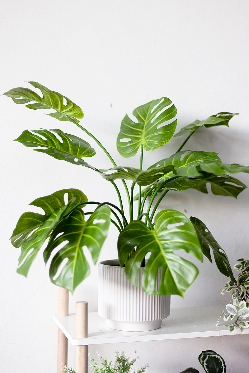 NC03 14 - Cây Trầu Bà Lá Xẻ Giả - 70cm