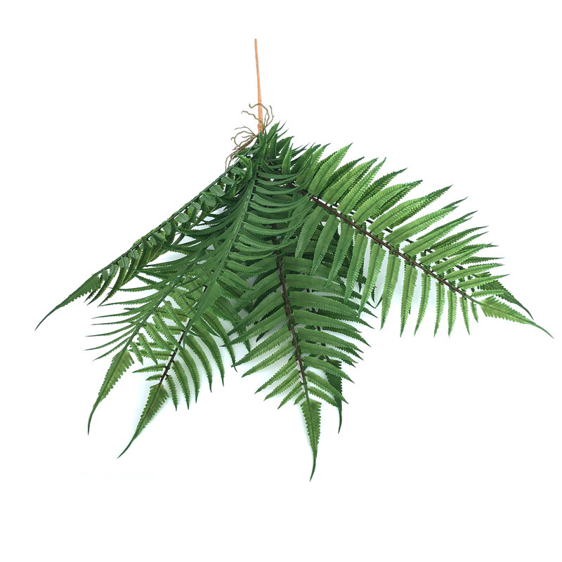 NC10 - Cành Cây Dương Xỉ Giả NC10 - Cành Cây Dương Xỉ Giả