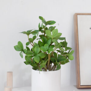 Cây Thạch Nam Giả Mini Để Bàn