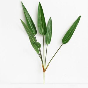 Cành cây thiên điểu cắm bình