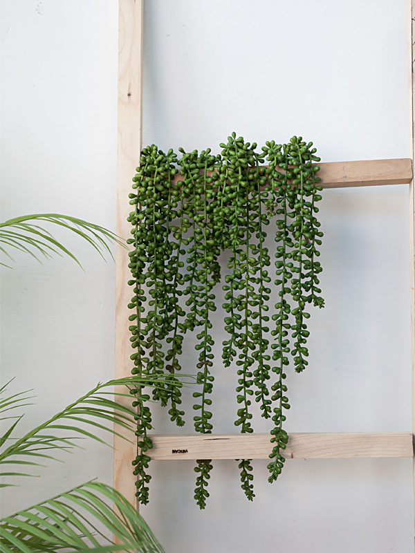 NC310 2 - Nhánh cây mọng nước giả treo tường