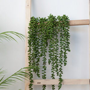 Nhánh cây mọng nước giả treo tường