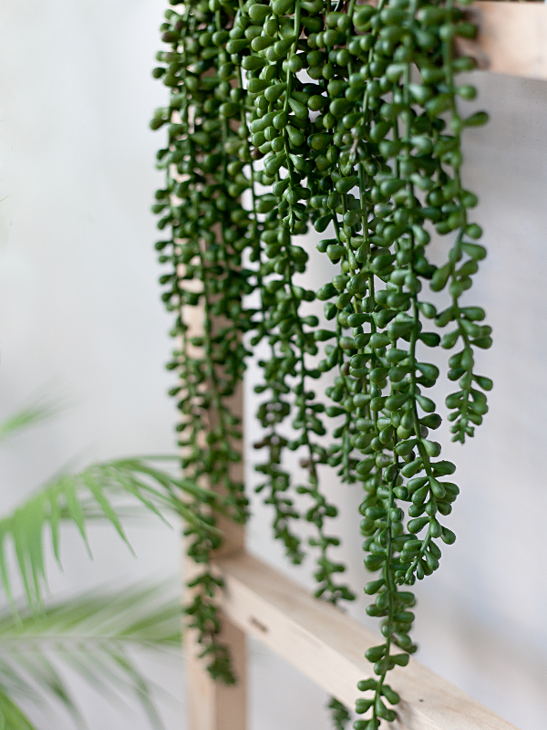 NC310 3 - Nhánh cây mọng nước giả treo tường