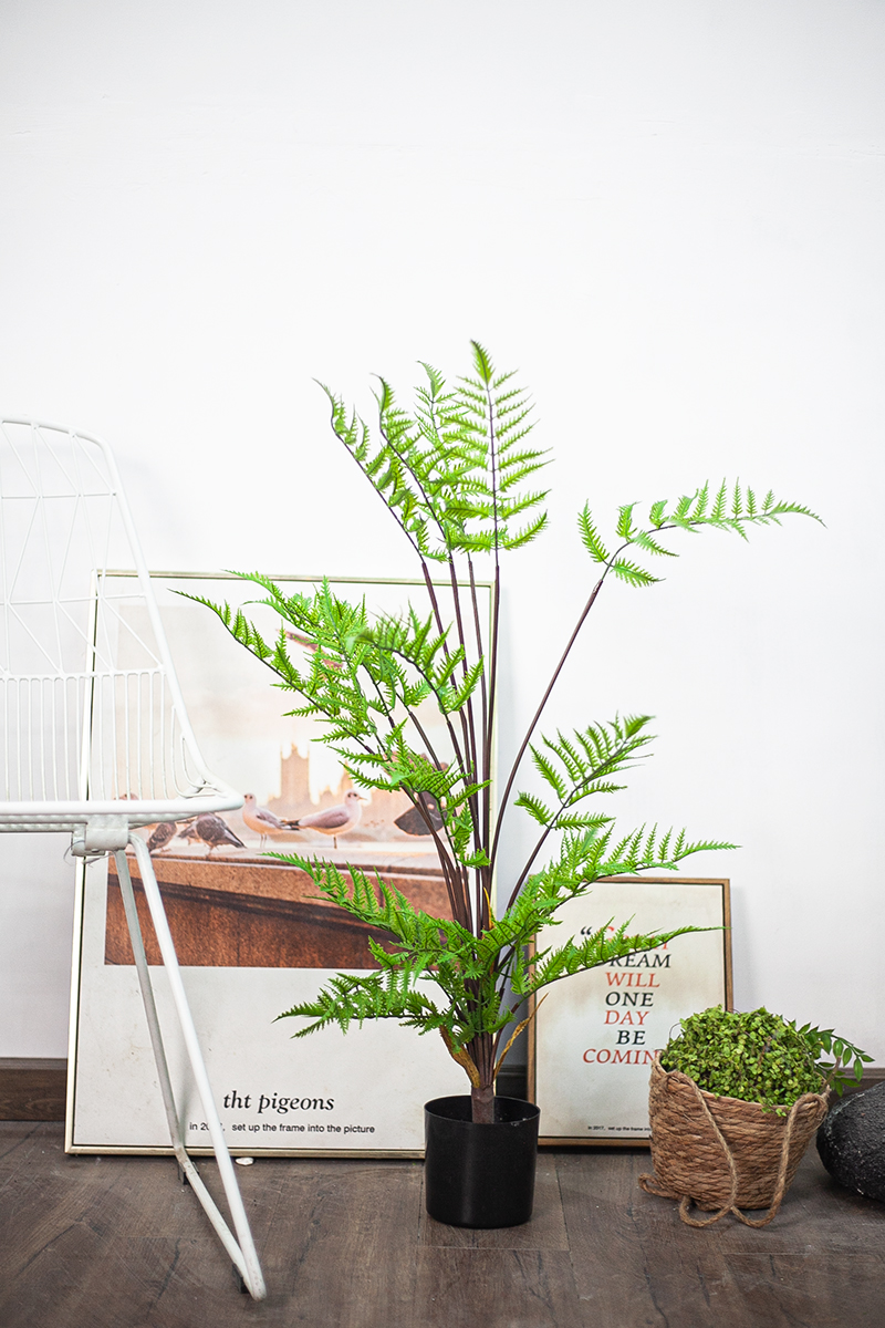 NC312 2 - Cây dương xỉ giả 90cm