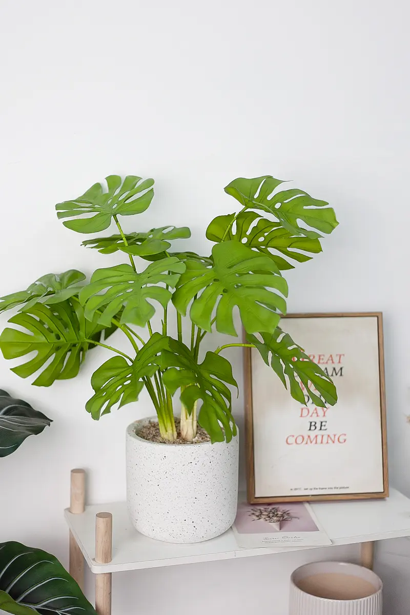 Chậu Cây Monstera Giả – Mini Để Bàn