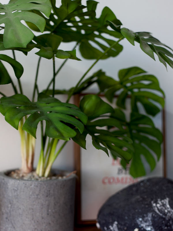 NC319 6 - Chậu Cây Monstera Giả - Mini Để Bàn NC319 6 - Chậu Cây Monstera Giả - Mini Để Bàn