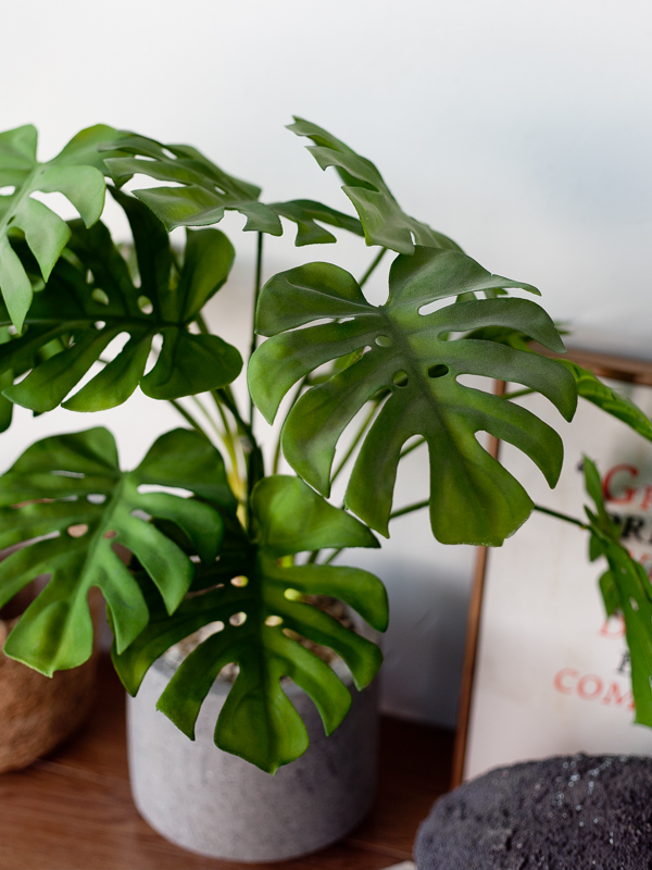 NC319 7 - Chậu Cây Monstera Giả - Mini Để Bàn NC319 7 - Chậu Cây Monstera Giả - Mini Để Bàn